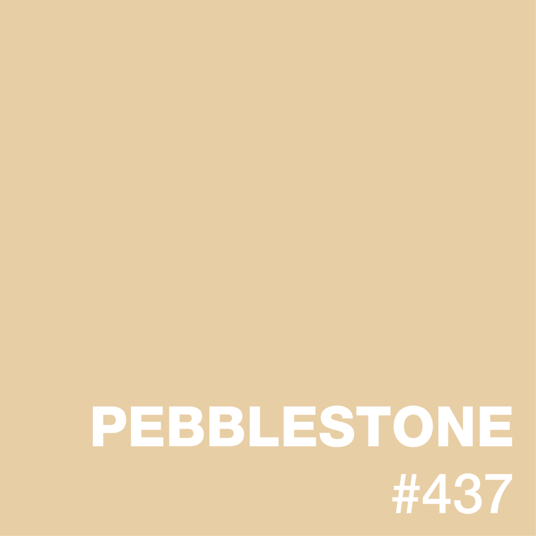 ColorCard_Powder_437_PebbleStone_50.png